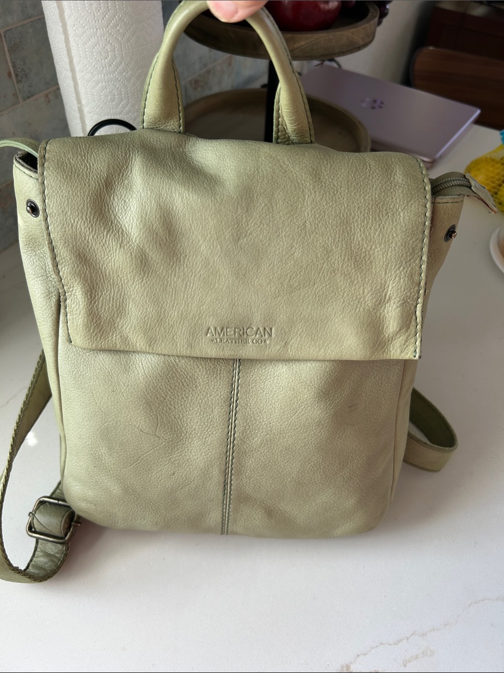American Leather Co Backpack Purse in Gorgeous Pale Green